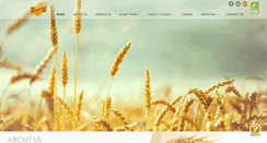 Desktop Screenshot of megastarfoods.com